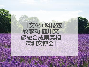 文化+科技双轮驱动 四川文旅融合成果亮相深圳文博会