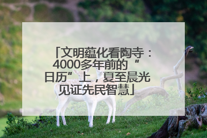 文明蕴化看陶寺：4000多年前的“日历”上，夏至晨光见证先民智慧