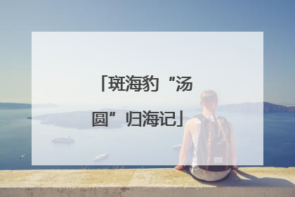 斑海豹“汤圆”归海记