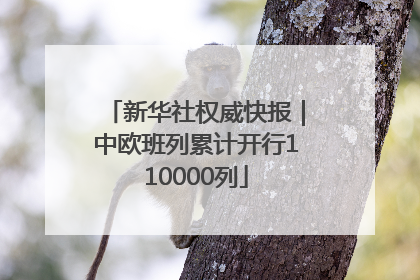 新华社权威快报｜中欧班列累计开行110000列