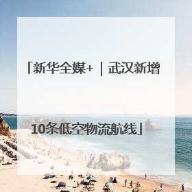 新华全媒+｜武汉新增10条低空物流航线
