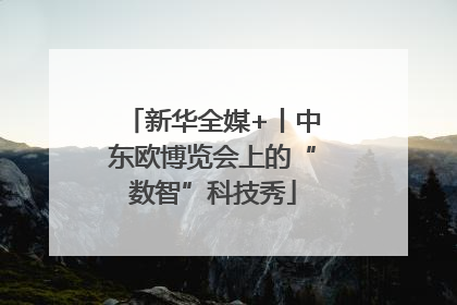 新华全媒+丨中东欧博览会上的“数智”科技秀