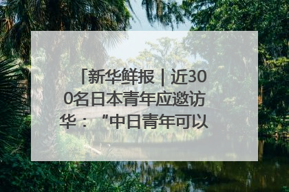 新华鲜报｜近300名日本青年应邀访华：“中日青年可以创造更好的未来”