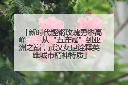 新时代铿锵玫瑰勇攀高峰——从“五连冠”到亚洲之巅，武汉女足诠释英雄城市精神特质