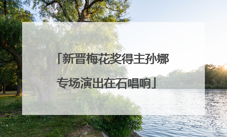 新晋梅花奖得主孙娜专场演出在石唱响
