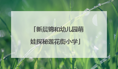 新晨锦和幼儿园萌娃探秘莲花街小学