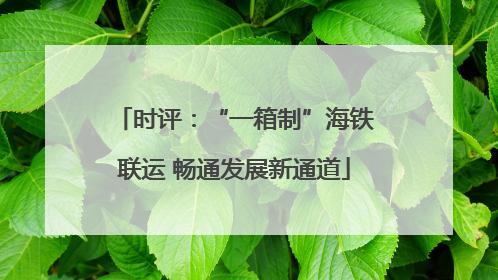 时评：“一箱制”海铁联运 畅通发展新通道