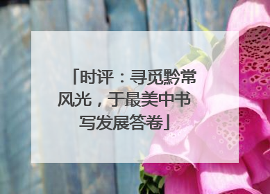 时评：寻觅黔常风光，于最美中书写发展答卷