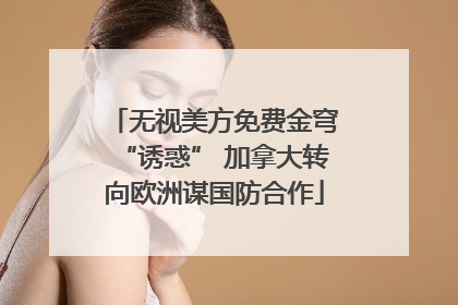 无视美方免费金穹“诱惑” 加拿大转向欧洲谋国防合作