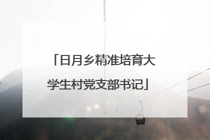 日月乡精准培育大学生村党支部书记