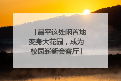 昌平这处闲置地变身大花园，成为校园崭新会客厅