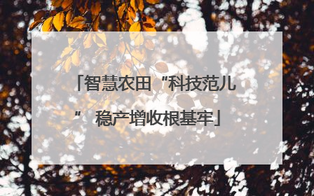 智慧农田“科技范儿” 稳产增收根基牢