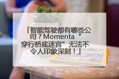 智能驾驶都有哪些公司？Momenta“穿行桥底迷宫”无法不令人印象深刻！