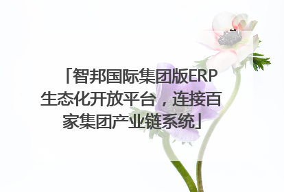 智邦国际集团版ERP生态化开放平台，连接百家集团产业链系统