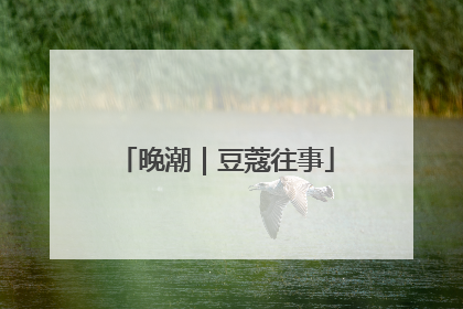 晚潮｜豆蔻往事