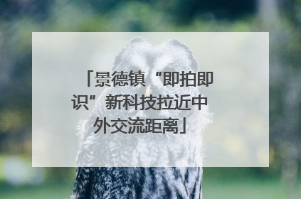 景德镇“即拍即识”新科技拉近中外交流距离