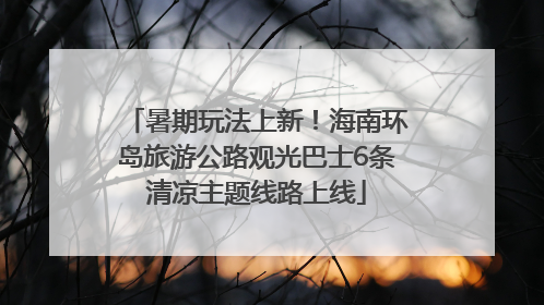 暑期玩法上新！海南环岛旅游公路观光巴士6条清凉主题线路上线