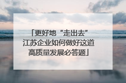 更好地“走出去” 江苏企业如何做好这道高质量发展必答题