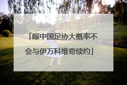 曝中国足协大概率不会与伊万科维奇续约