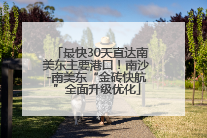 最快30天直达南美东主要港口！南沙-南美东“金砖快航”全面升级优化
