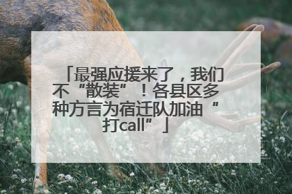 最强应援来了，我们不“散装”！各县区多种方言为宿迁队加油“打call”