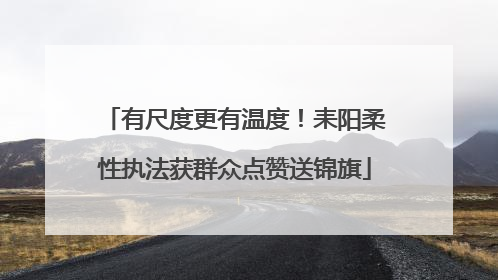有尺度更有温度！耒阳柔性执法获群众点赞送锦旗