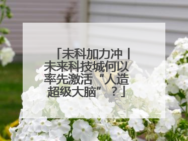 未科加力冲丨未来科技城何以率先激活“人造超级大脑”？