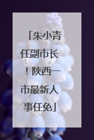 朱小青任副市长！陕西一市最新人事任免
