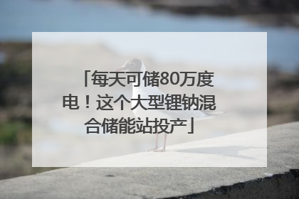 每天可储80万度电！这个大型锂钠混合储能站投产