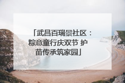 武昌百瑞景社区：粽意童行庆双节 护苗传承筑家园