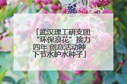 武汉理工研支团“环保浪花”接力四年 创意活动种下节水护水种子