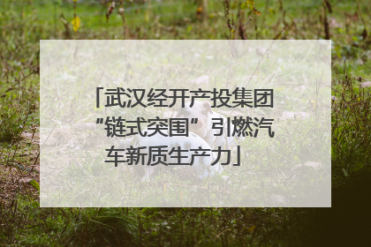 武汉经开产投集团“链式突围”引燃汽车新质生产力