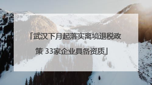 武汉下月起落实离境退税政策 33家企业具备资质