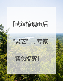 武汉惊现雨后“灵芝”，专家紧急提醒