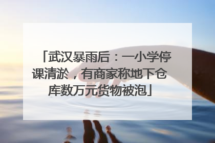 武汉暴雨后：一小学停课清淤，有商家称地下仓库数万元货物被泡