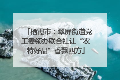 栖霞市：翠屏街道党工委领办联合社让“农特好品”香飘四方