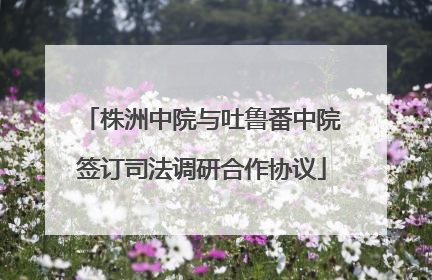 株洲中院与吐鲁番中院签订司法调研合作协议