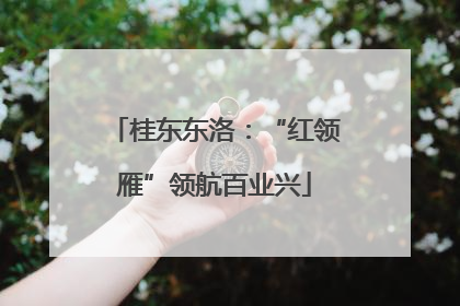 桂东东洛：“红领雁”领航百业兴