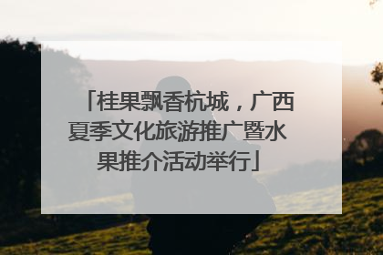 桂果飘香杭城，广西夏季文化旅游推广暨水果推介活动举行