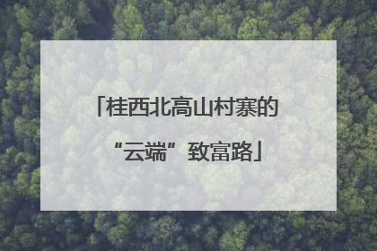 桂西北高山村寨的“云端”致富路