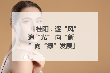 桂阳：逐“风”追“光” 向“新”向“绿”发展