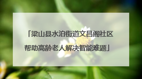 梁山县水泊街道文昌阁社区帮助高龄老人解决智能难题