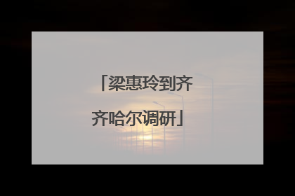 梁惠玲到齐齐哈尔调研