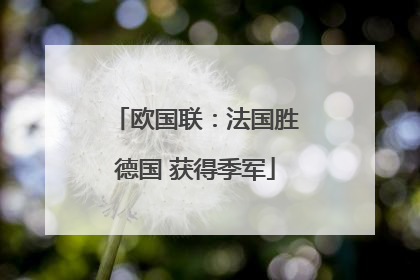 欧国联：法国胜德国 获得季军