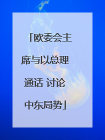 欧委会主席与以总理通话 讨论中东局势