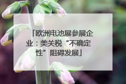 欧洲电池展参展企业：美关税“不确定性”阻碍发展