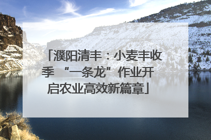 濮阳清丰：小麦丰收季 “一条龙”作业开启农业高效新篇章