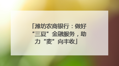 潍坊农商银行：做好“三夏”金融服务，助力“麦”向丰收