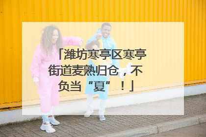 潍坊寒亭区寒亭街道麦熟归仓，不负当“夏”！