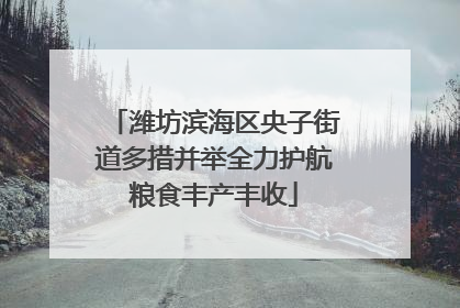 潍坊滨海区央子街道多措并举全力护航粮食丰产丰收